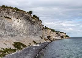 Image result for stevns klint