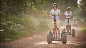 Image result for The Go Ape Experience (Delamere Forest)