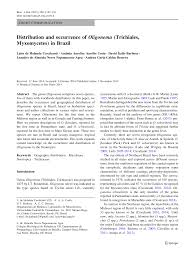 Attēlu rezultāti vaicājumam “Oligonema sp.”