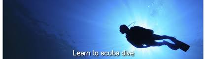 Image result for Southampton University Sub-Aqua Club