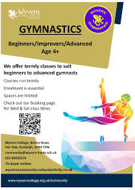 Image result for Wyvern Dragons Badminton Club