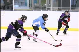 Image result for Swansea Ladies Hockey Club