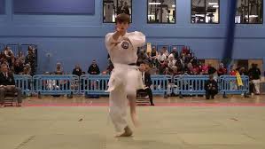 Image result for Sendai Kushiro Karate