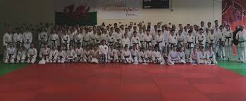 Image result for Newport Kyokushin Karate Club