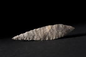 Image result for feuille-laurier-silex