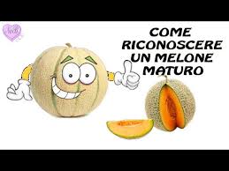 Image result for Melone