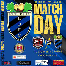 Image result for Ockley Acorns Junior F C