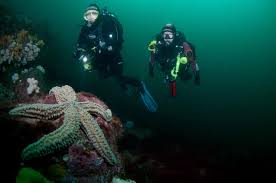 Image result for Leeds Free Divers Octopush Club