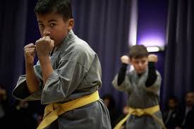 Image result for Shaolin Nam Pai Chuan Kung Fu - Manchester Martial Arts Centre