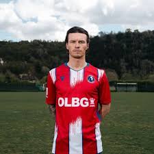 Image result for Dorking Wanderers F C