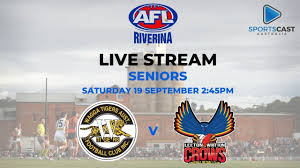 Image result for Whitton Netball Club