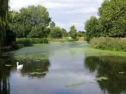 Image result for Nassington Cc