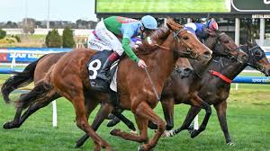 Image result for Thoroughbreds Netball Clubs