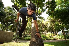 Image result for Les Voleurs Parkour Club