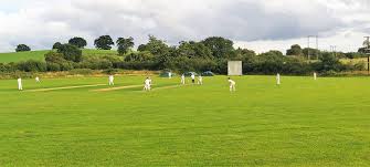 Image result for Abbotsbury Cricket Club