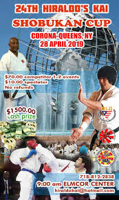 Image result for Excalibur Shotokan Karate Club