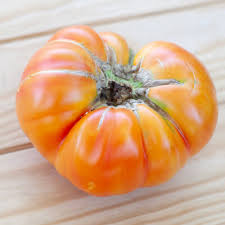 Afbeeldingsresultaat voor northern lights tomato