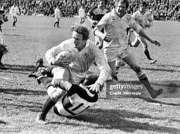 Image result for Swansea Rfc