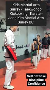 Image result for Surrey Taekwondo