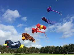 Image result for Kite Club of Scotland