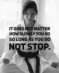 Image result for kyokujitsu Kai