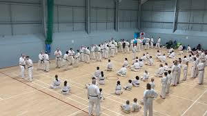 Image result for Woodley Karate Club