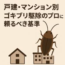 Image result for ゴキブリ報告所