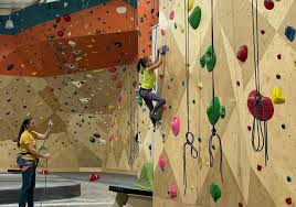 Image result for High Sports Climbing Wall