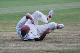 Image result for Lingfield Cricket Club