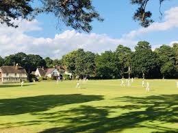 Image result for Blackheath Cricket Club