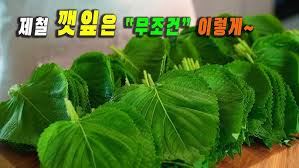 Image result for 깱깲깳깴깵깶깷깺깾깿꺀꺁꺂꺃꺆꺇꺈꺉꺊꺋꺍꺎꺏꺐