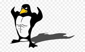 Image result for linux penguin