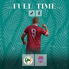 Image result for Welwyn Garden City Panshanger Football Club