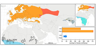 Attēlu rezultāti vaicājumam “Sylvia borin eggs”