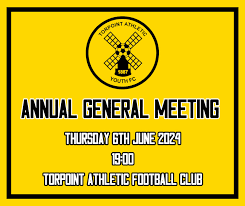 Image result for Torpoint Athletic Football Club