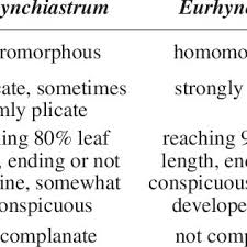 Attēlu rezultāti vaicājumam “Eurhynchiastrum pulchellum macro”