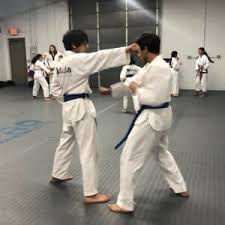 Image result for Tkd Self Defense
