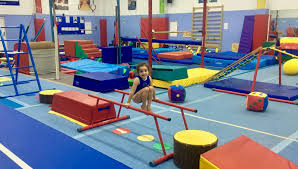 Image result for Pinewood Gymnastics Club