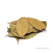 Image result for feuille-laurier-silex