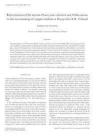 Attēlu rezultāti vaicājumam “Pleurozium schreberi sporophyte”