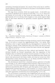 Attēlu rezultāti vaicājumam “Gloeocapsa rupestris”