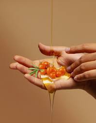 Image result for biojack tehron