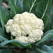 Image result for Blumenkohl