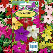 Image result for Nicotiana x sanderae