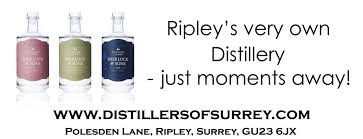 Image result for Southern Railway & Kenley Cricket Club