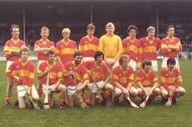 Image result for Moycarkey-Borris Gaa Club