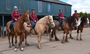 Image result for The Riding Centre