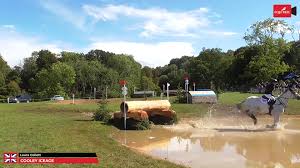 Image result for Cotswold Badminton Club