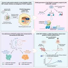 Image result for Cambridge N C I Cc