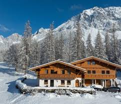 Image result for Silberdistel